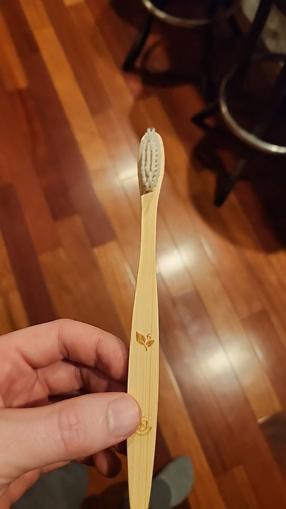 Bamboo Toothbrush w/ Case