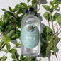 Peppermint Mouthwash
